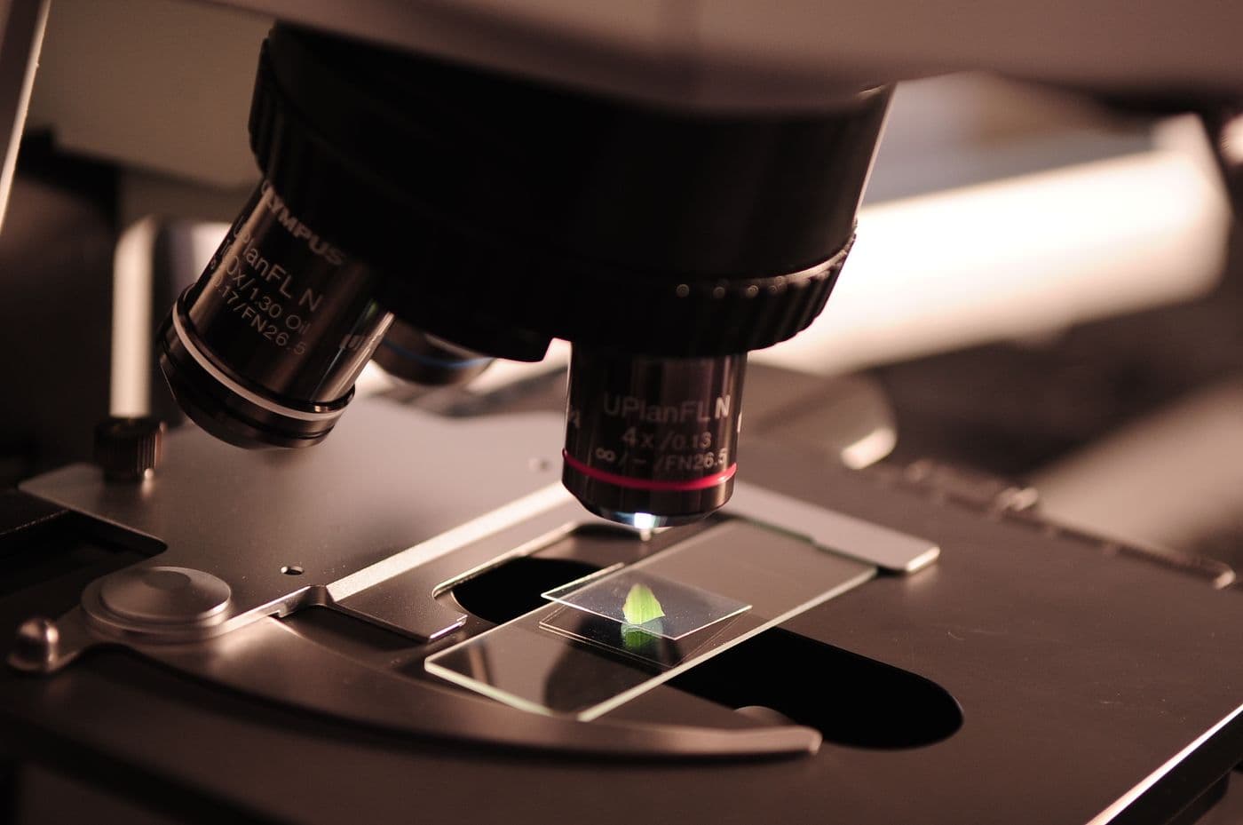 Industrial microscopy workspace