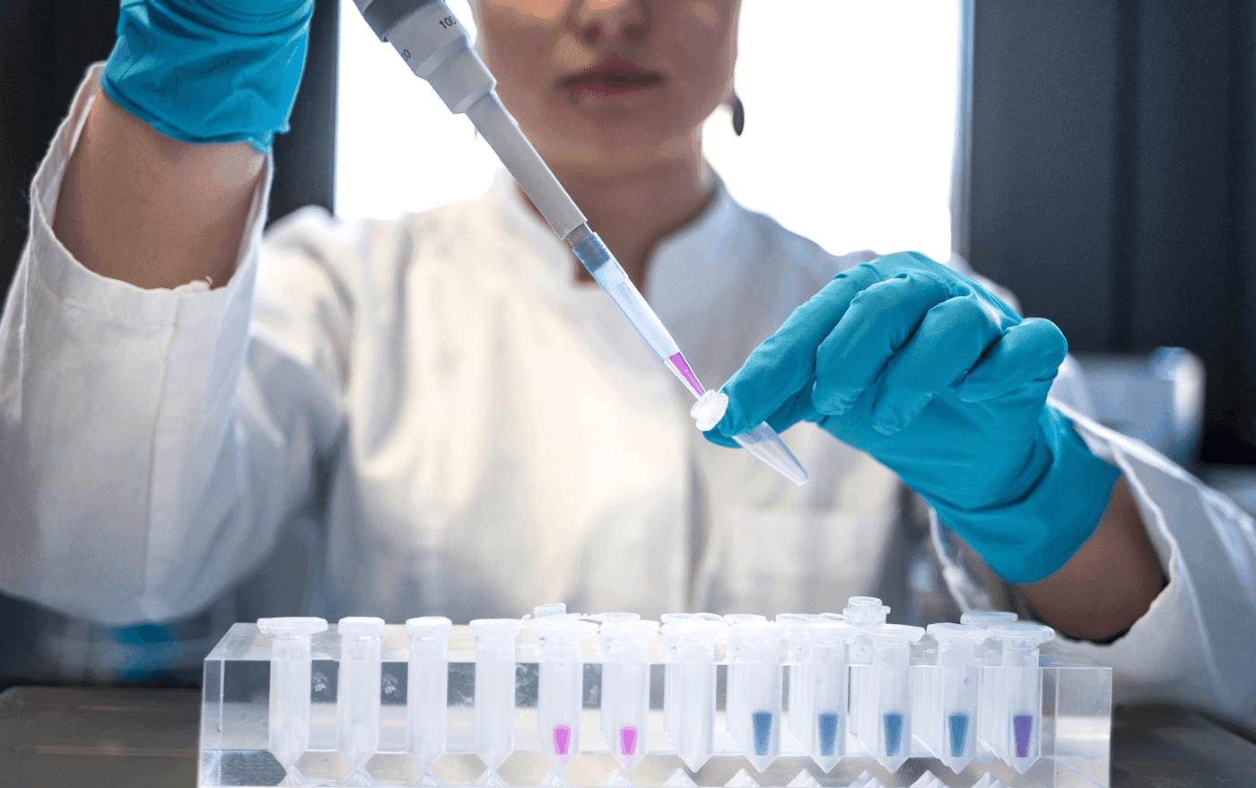 Scientist in blue gloves pipetting purple liquid into microcentrifuge tubes