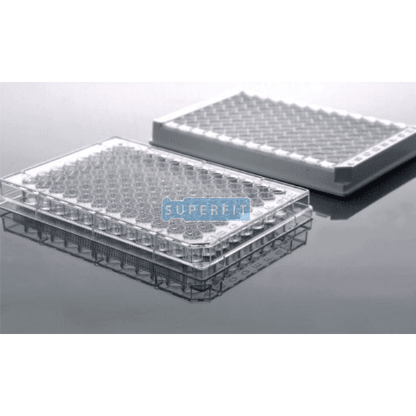 Elisa Plates