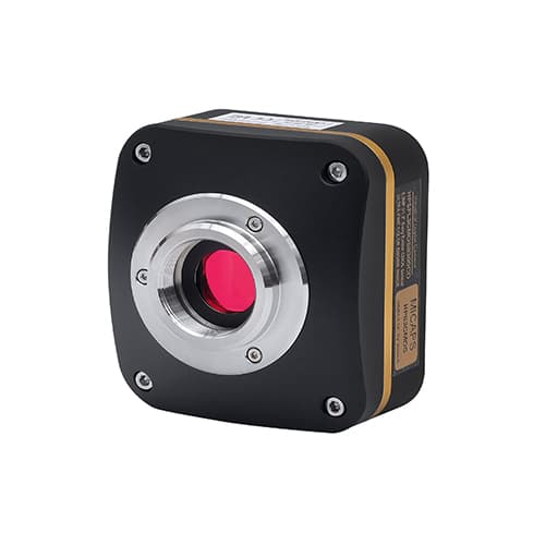 Fluorescence Cameras