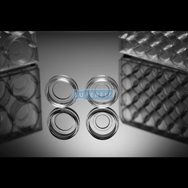 Glass Bottom Cell Culture Dishes & Plates