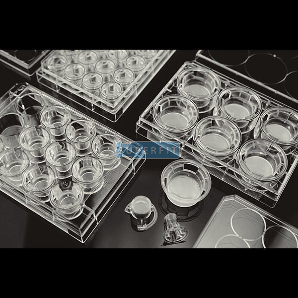Cell Culture Inserts
