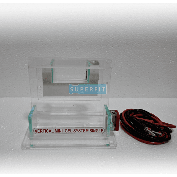 Electrophorosis Vertical